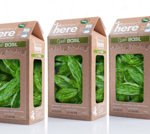 Organic Foods