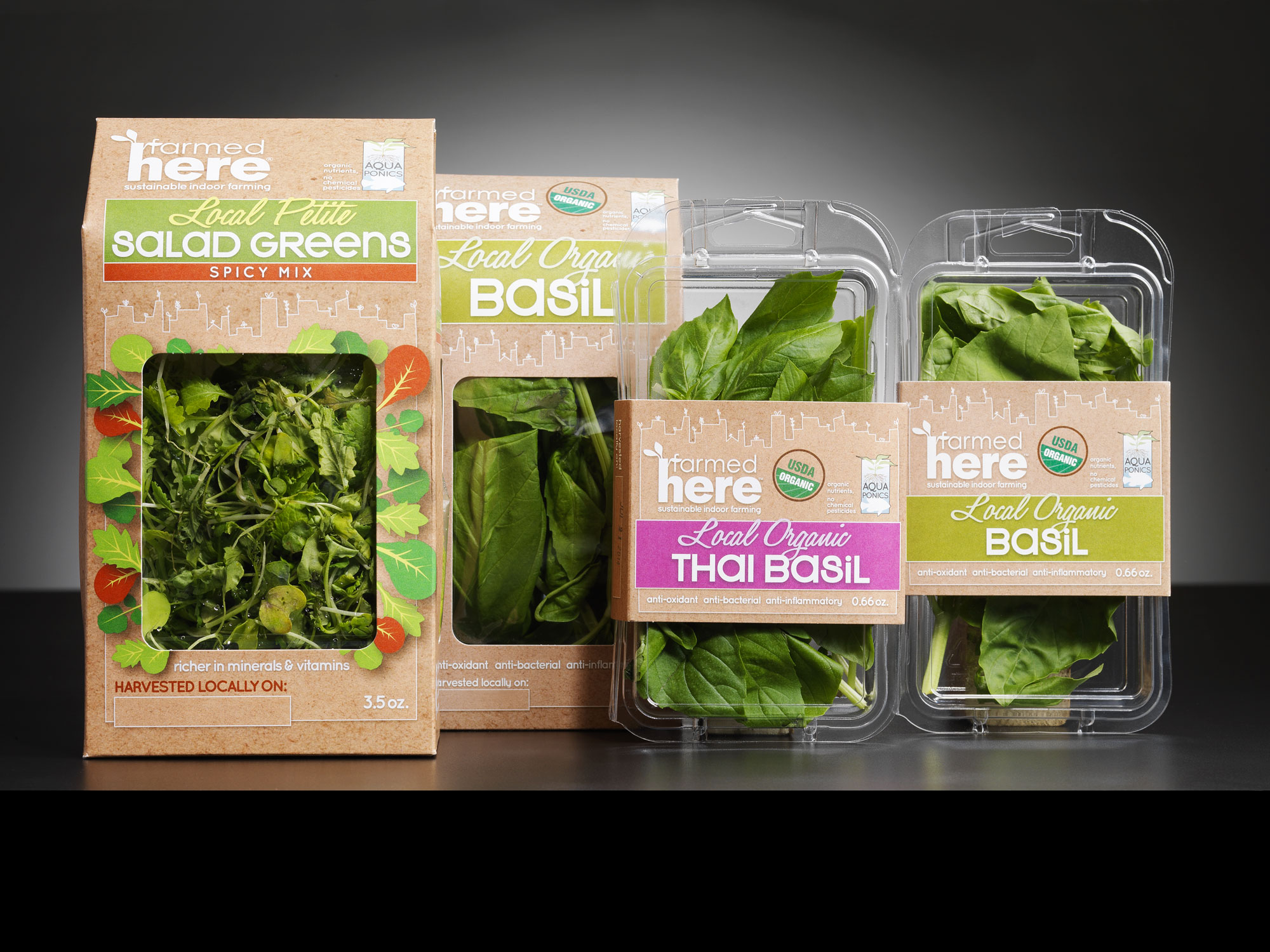 Custom Eco Friendly & Biodegradable Food Safe Packaging Wholesale Company-  EasyGreen