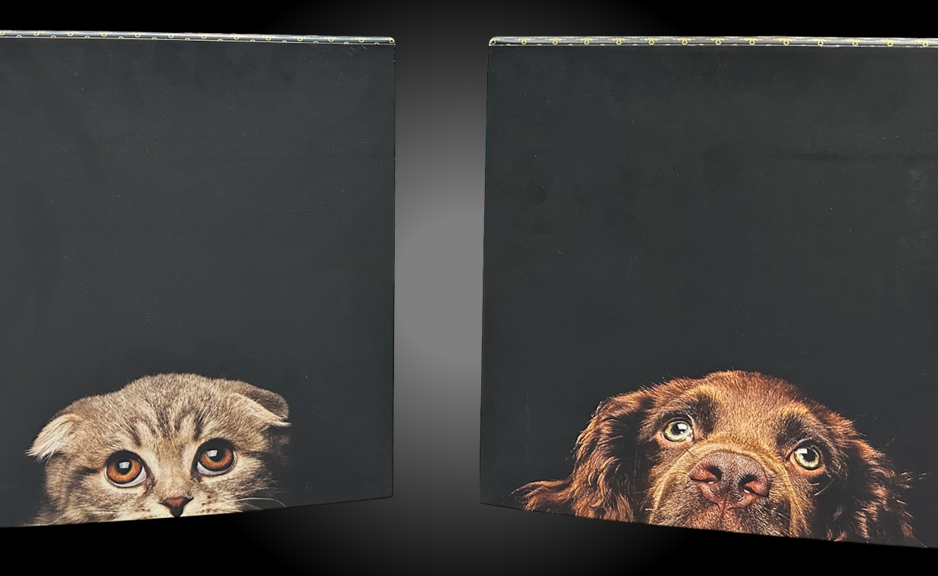 Elevating Pet Brands Through Premium Packaging & Retail Displays